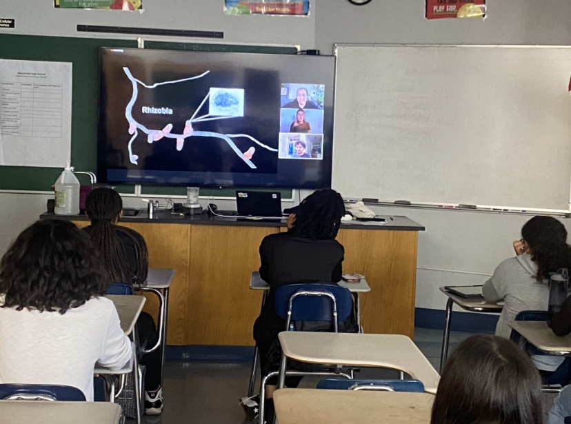 Students on Skype with a Scientist